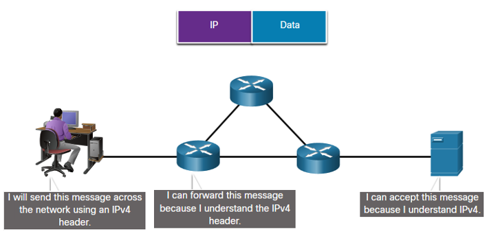 Protocols and Models