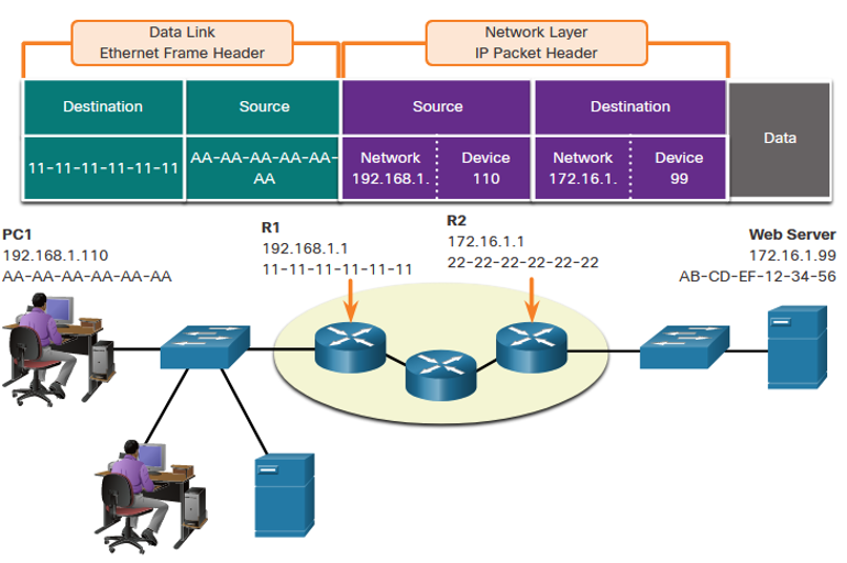 Protocols and Models