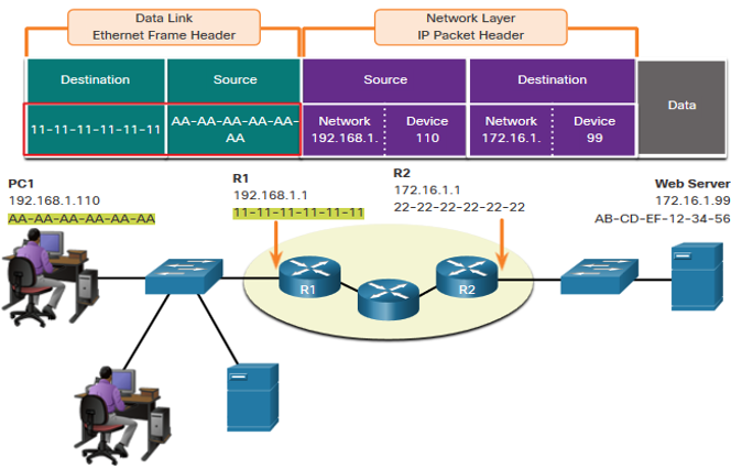 Protocols and Models