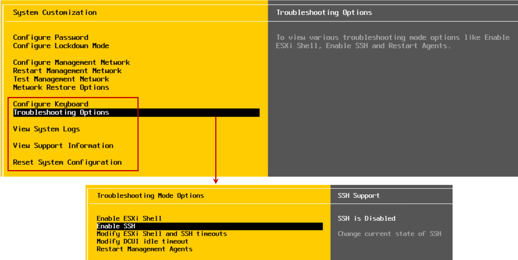 Overview of ESXi